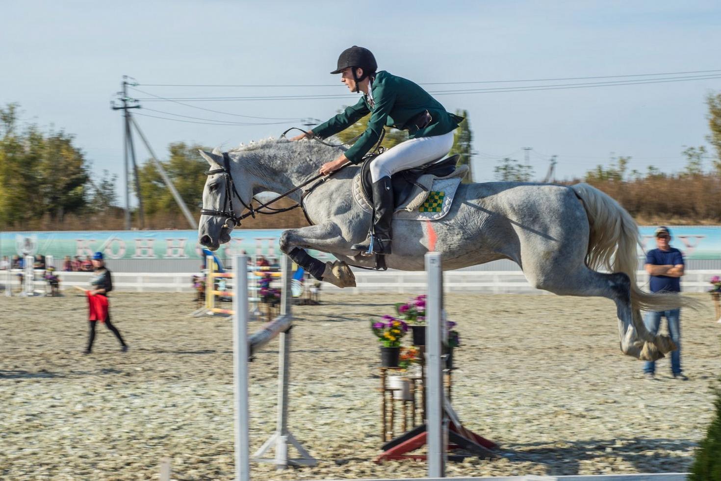 Show jumping