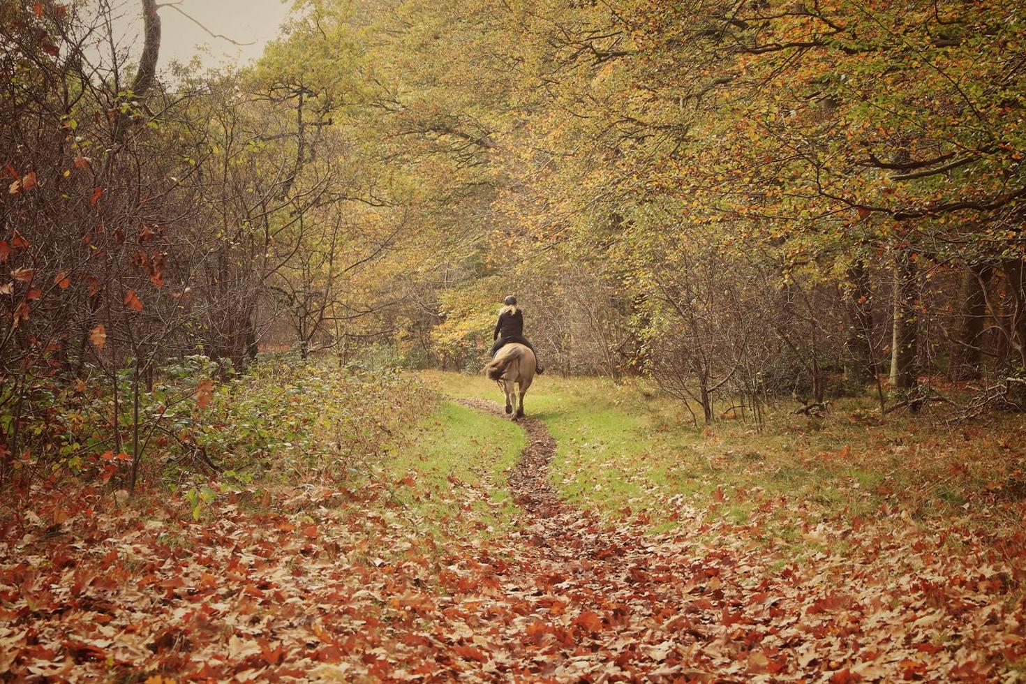 Autumn trail ride