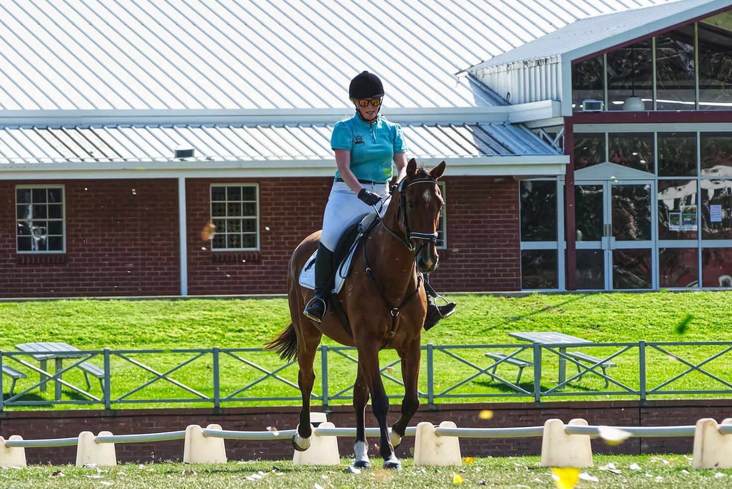Dressage Training