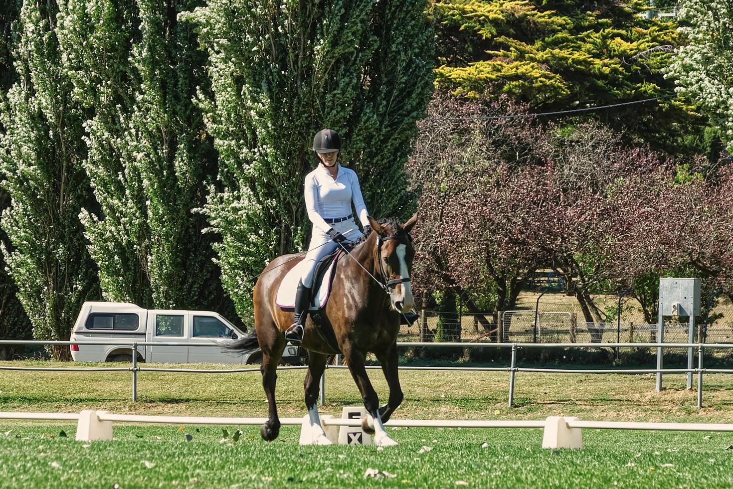 Equestrian gift experience