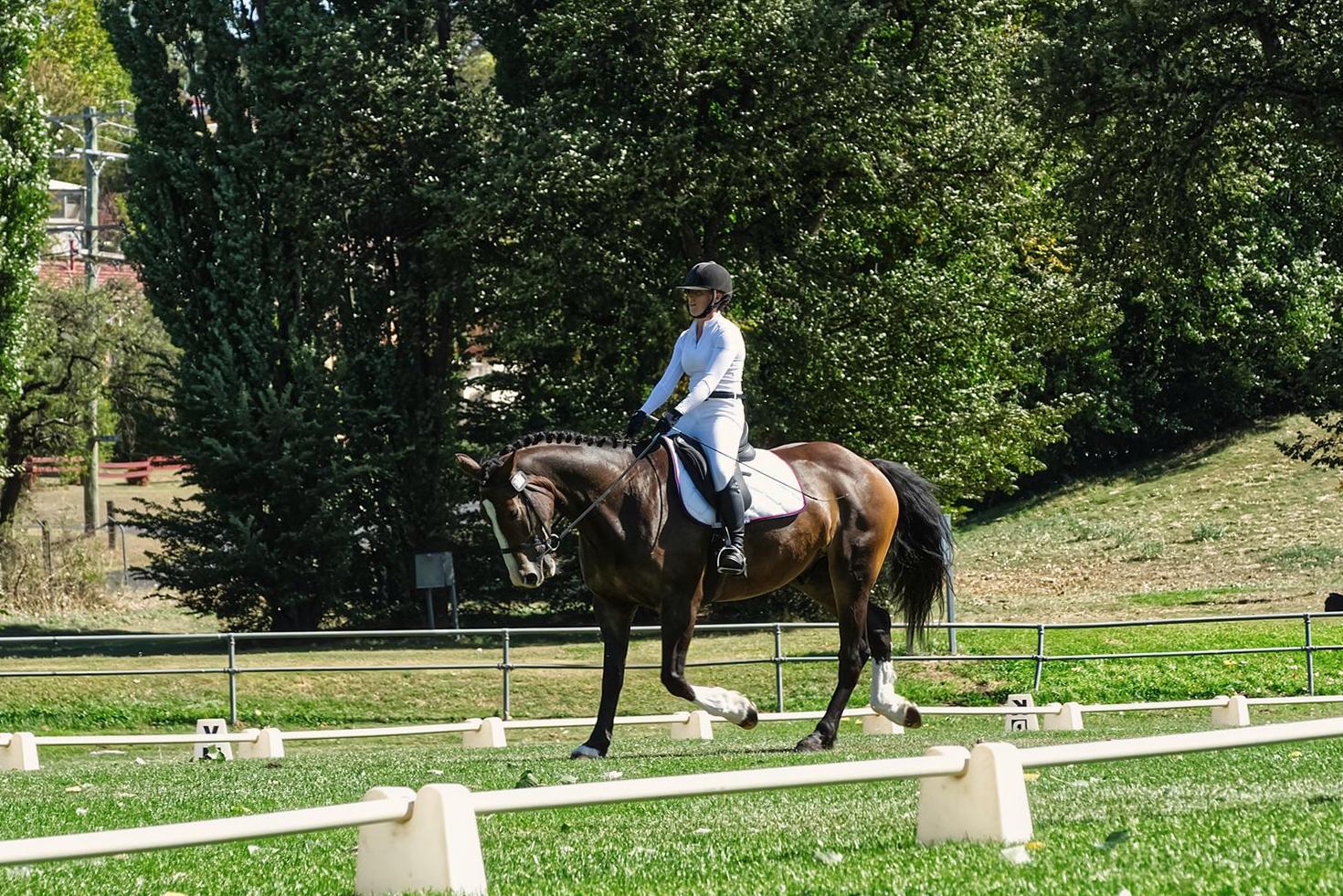 Dressage training at Stocknewnet