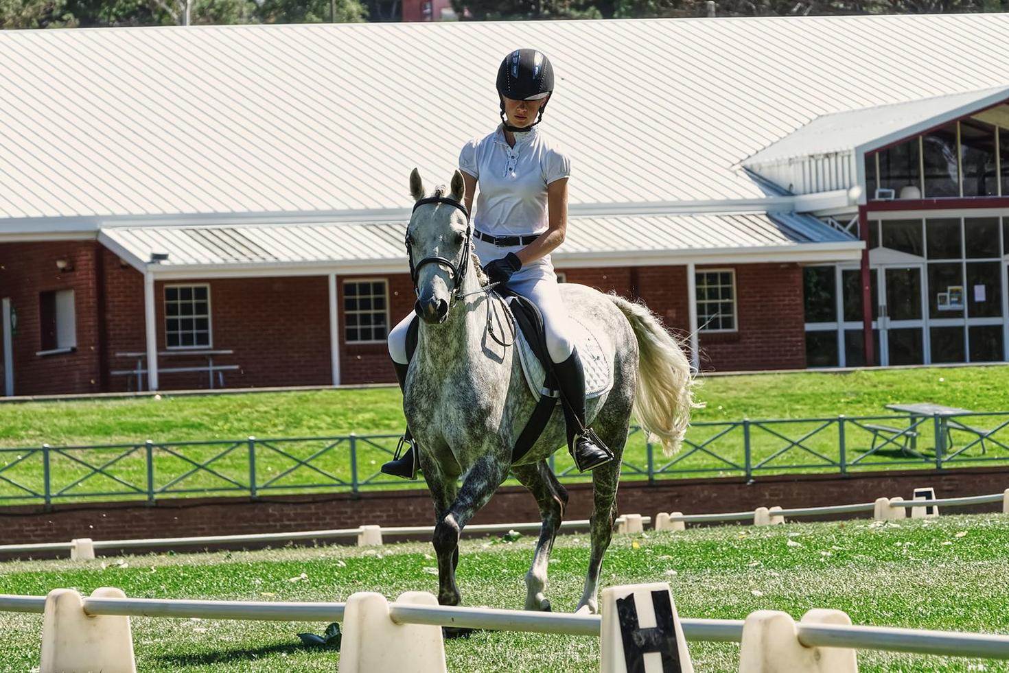 Equestrian stable building