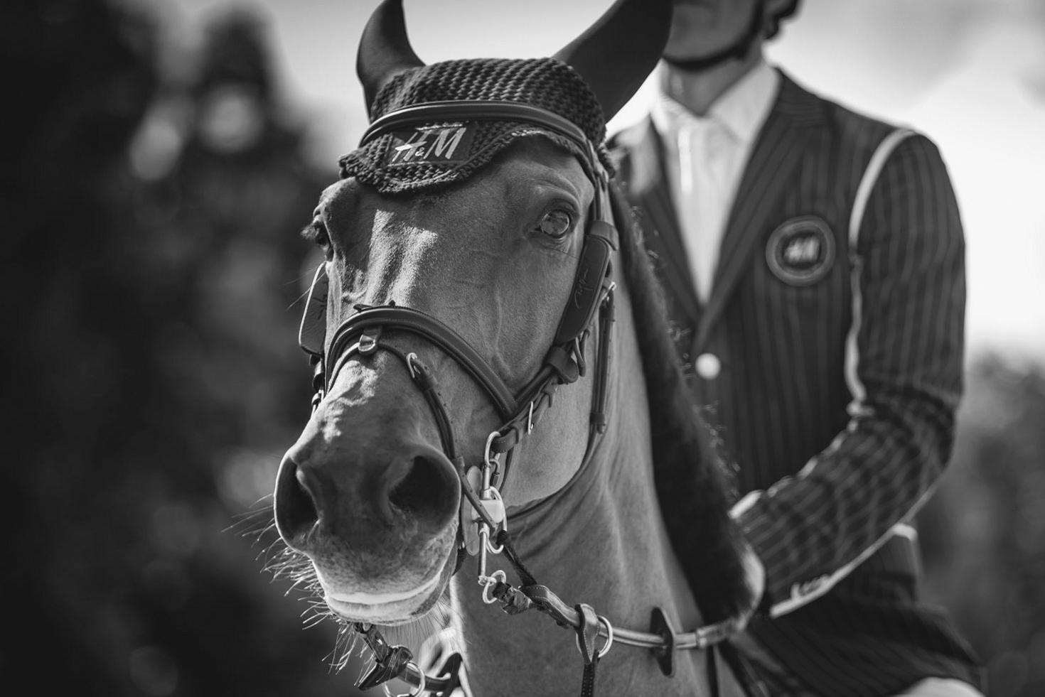 Elegant portrait