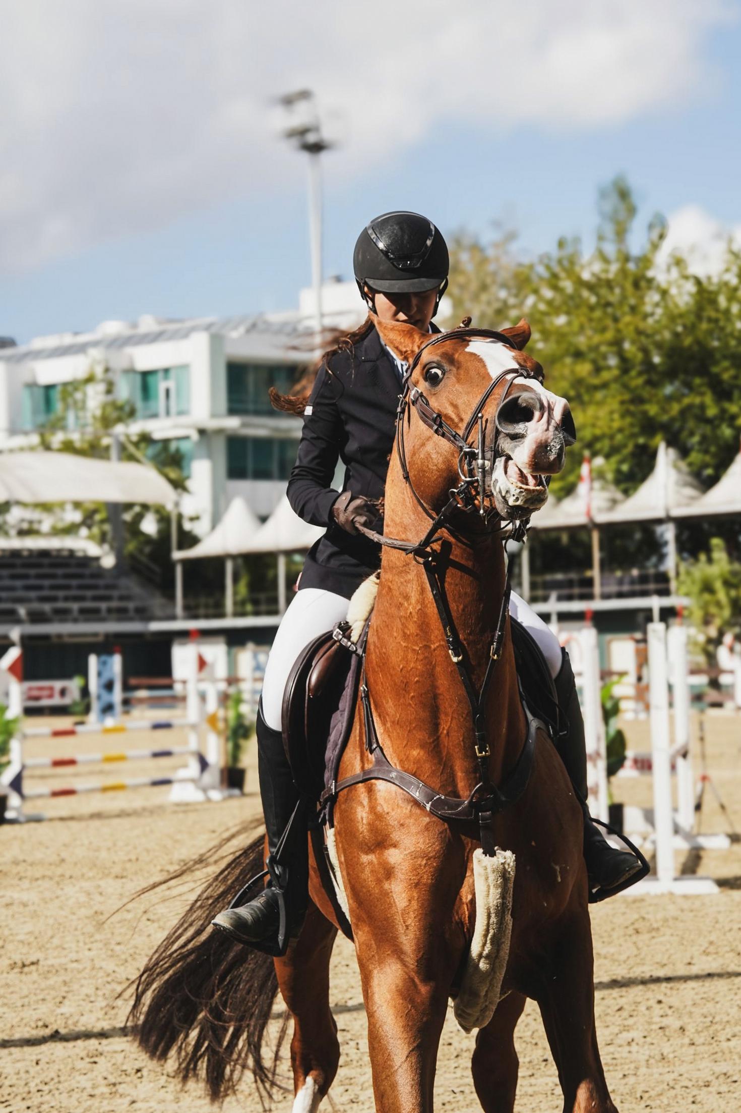 Show jumping competition