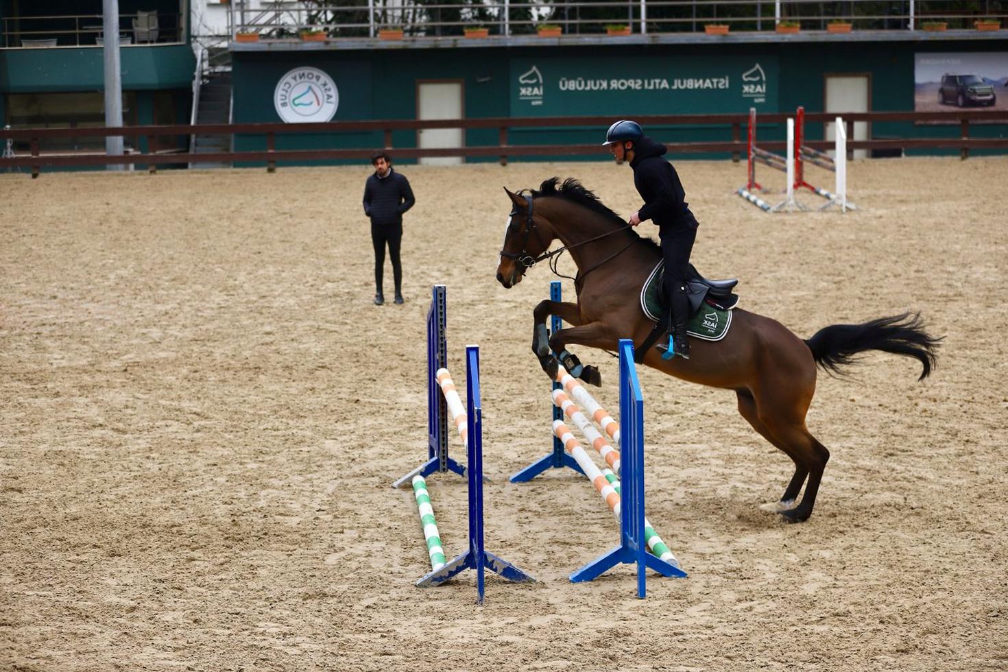 Horse clearing hurdle