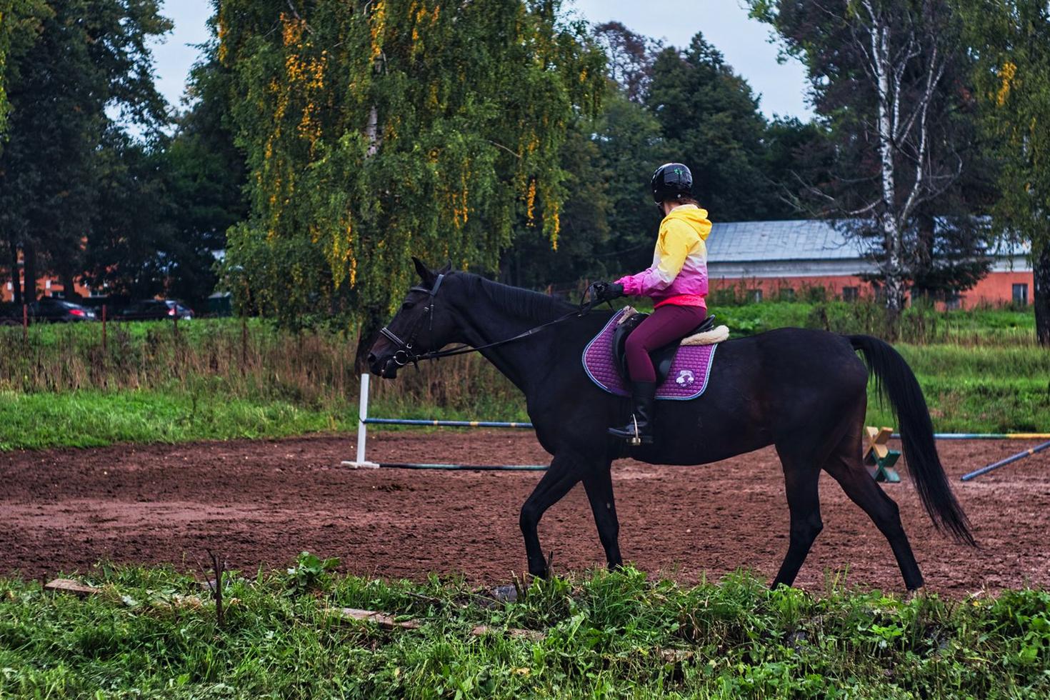First Pony Ride