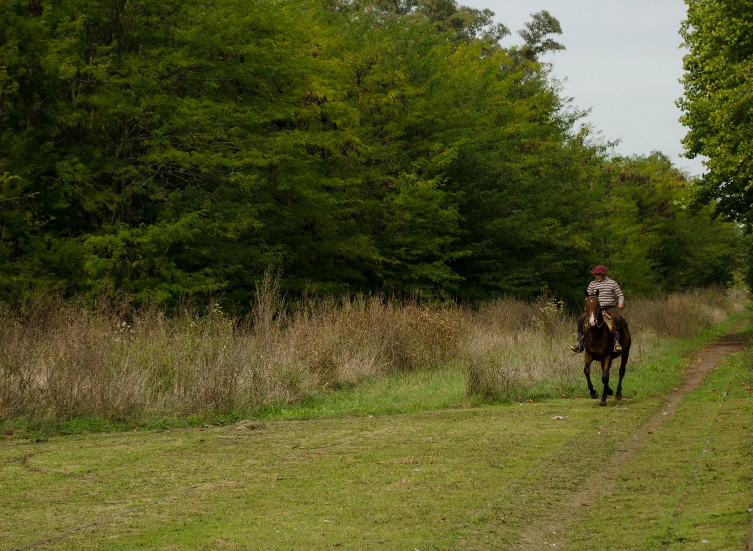 Guided trail ride