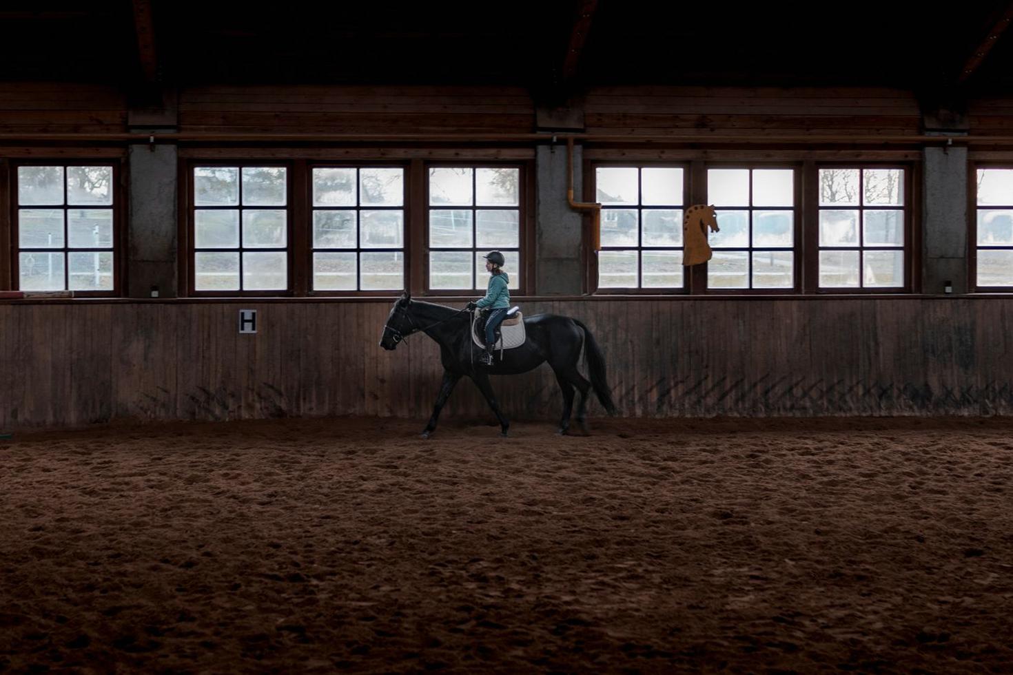 Pony Care Workshop