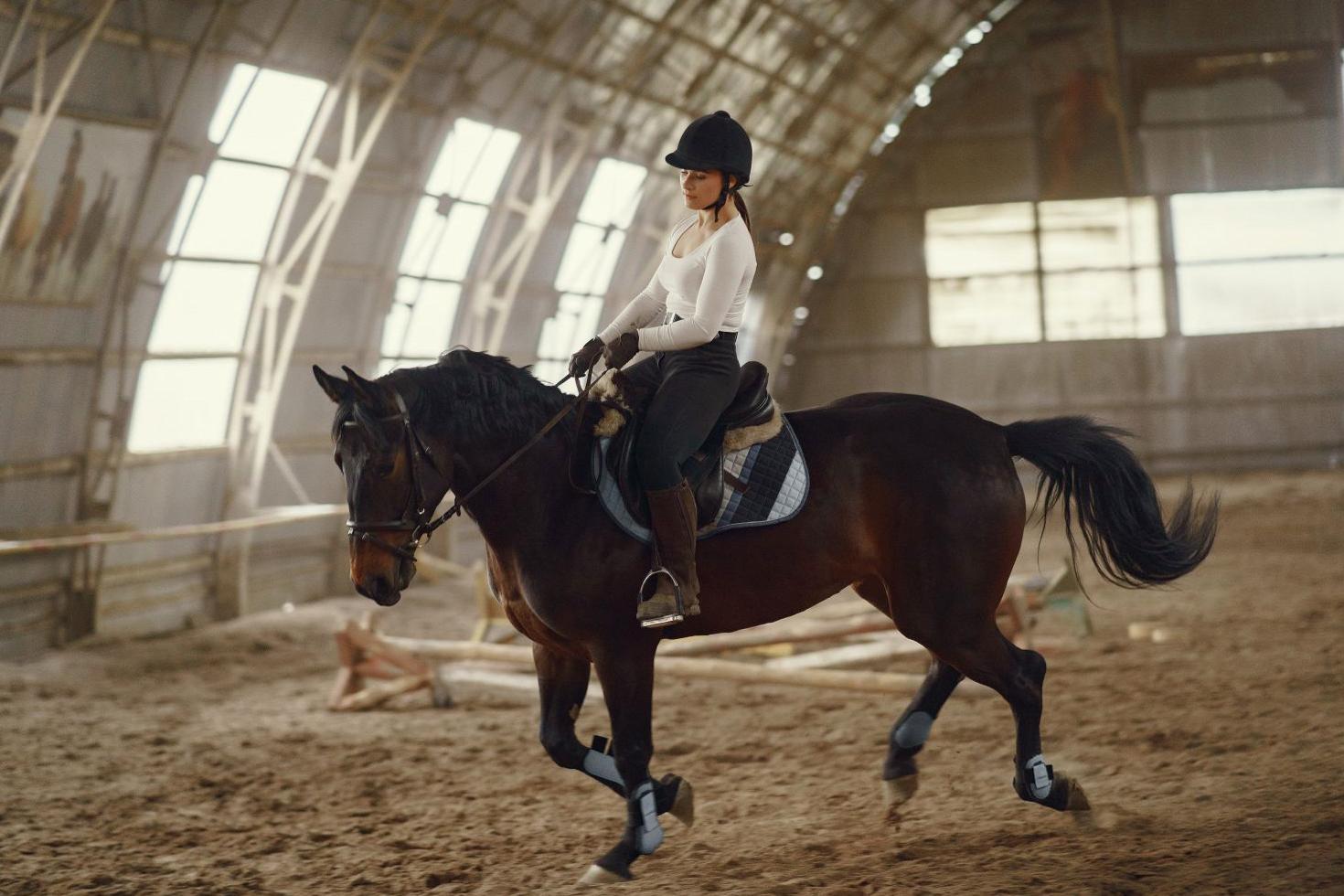 Indoor Arena