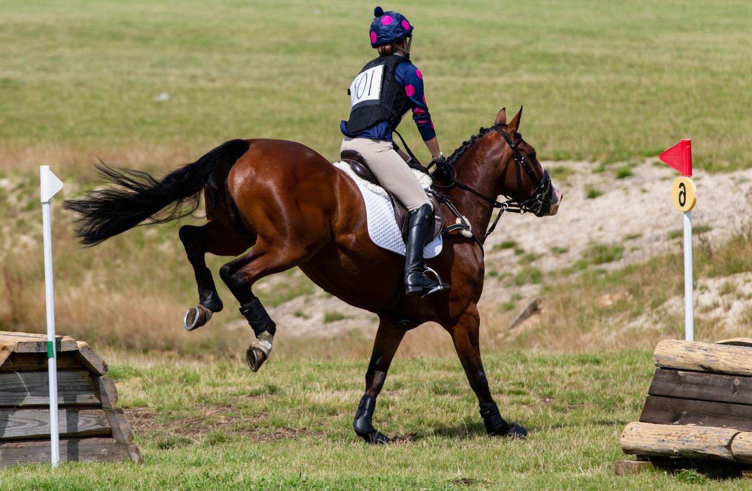 Jumping Training